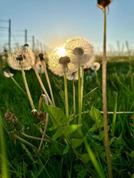 Zeige Details für Lagen.Wein.Paket Bild von Lagen.Wein.Paket
