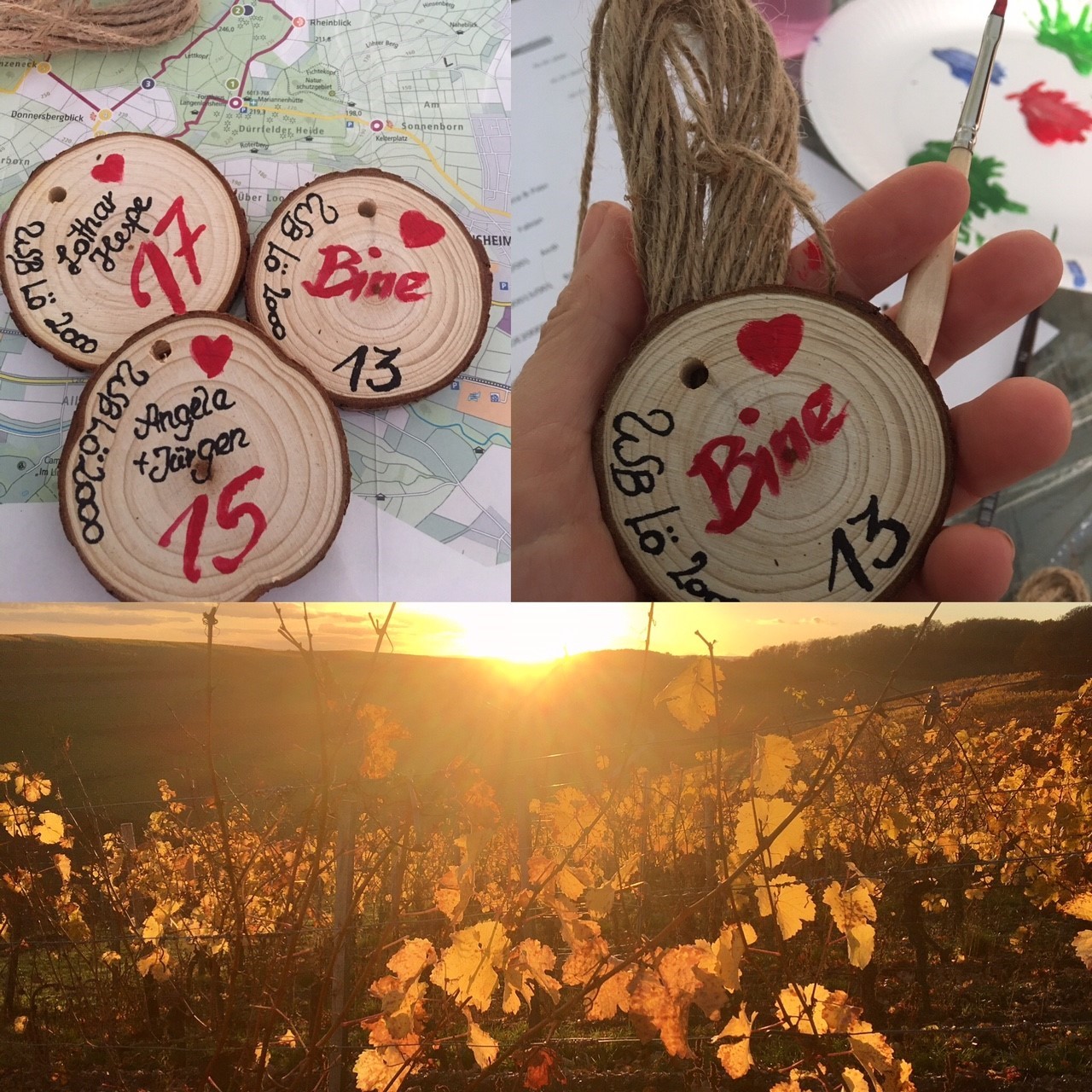 Bild von Rebstockpacht  - 2 Jahre PLUS Terroirpaket